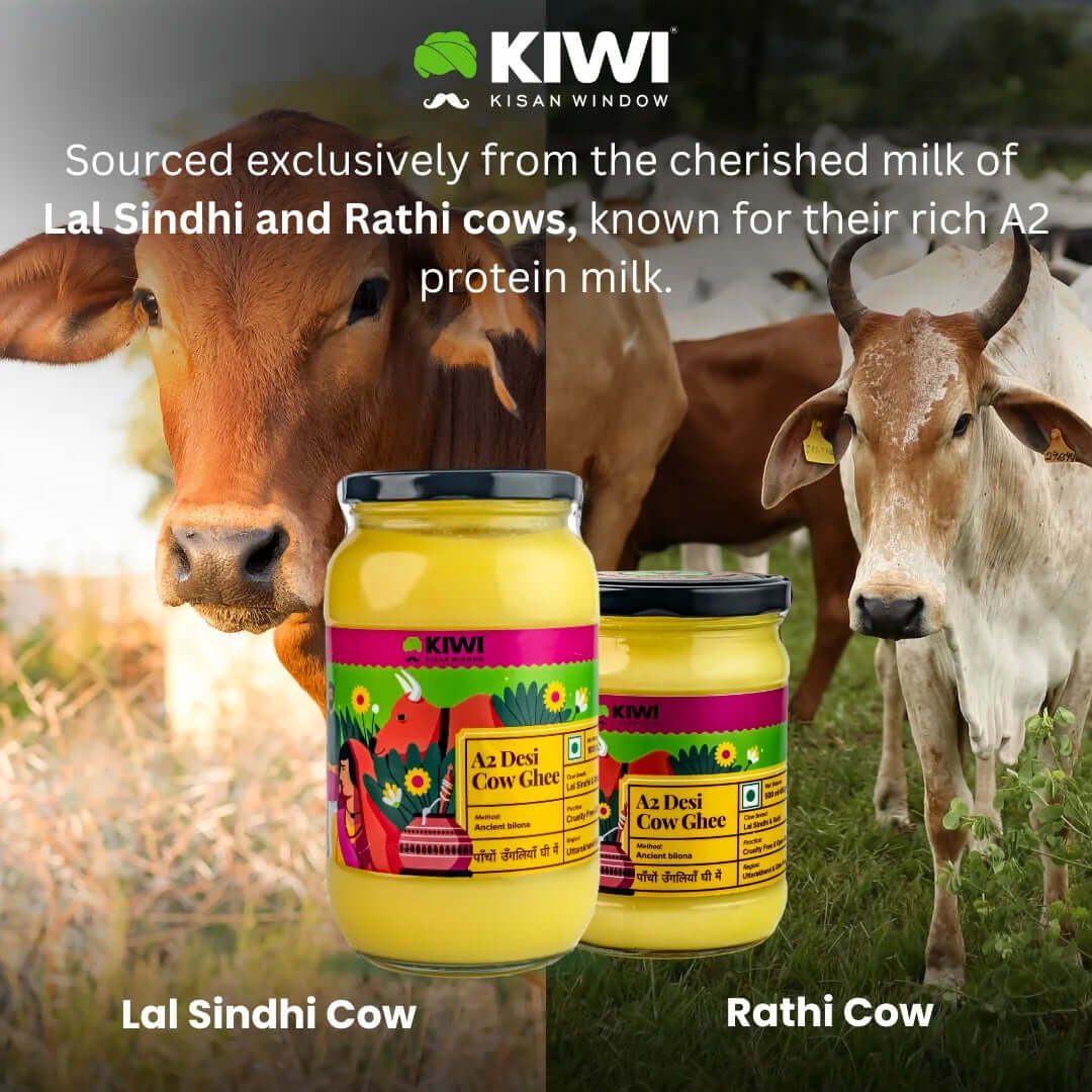 A2 Desi Cow Ghee