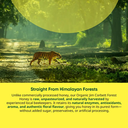 Organic Jim Corbett Forest Honey