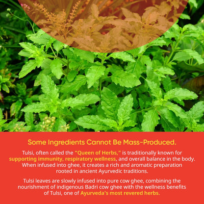 Tulsi Cow Ghee