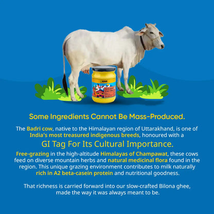 Gut Health Combo - Ghee + Heeng