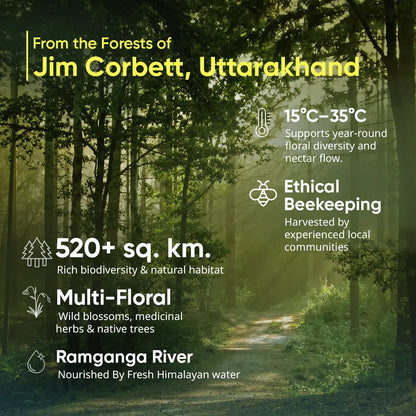 Organic Jim Corbett Forest Honey