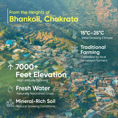 Rajma Chakrata