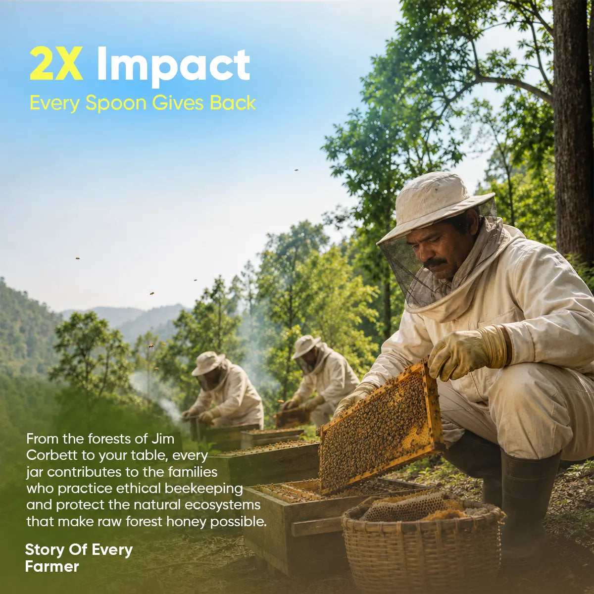 Organic Jim Corbett Forest Honey
