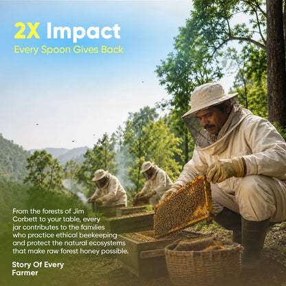 Organic Jim Corbett Forest Honey