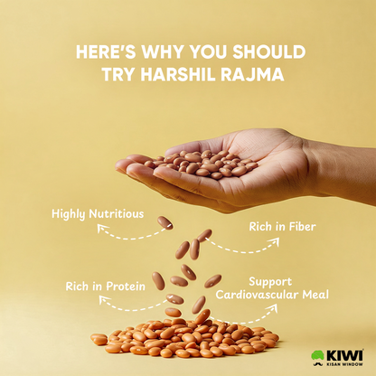 Rajma  Bundle ( 1 Rajma Chakrata  + 1 Harshil Rajma +1 Rajma Black )