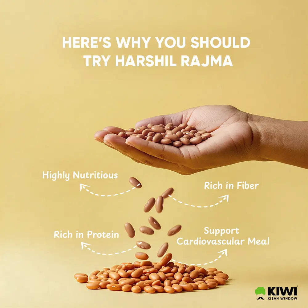 Himalayan Rajma Harshil