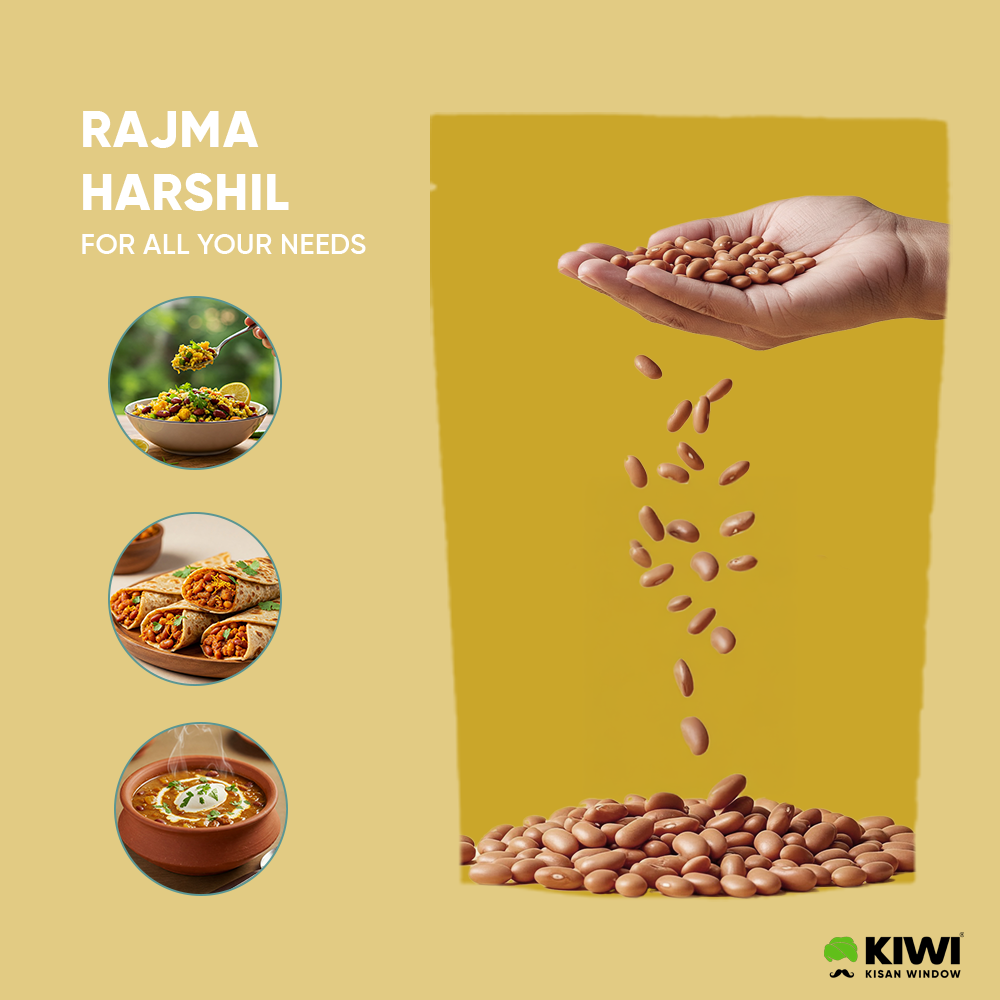Himalayan Rajma Pack (2 Rajma Chakrata + 2 Rajma Harshil)