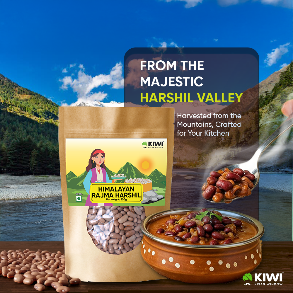 Rajma  Bundle ( 1 Rajma Chakrata  + 1 Harshil Rajma +1 Rajma Black )