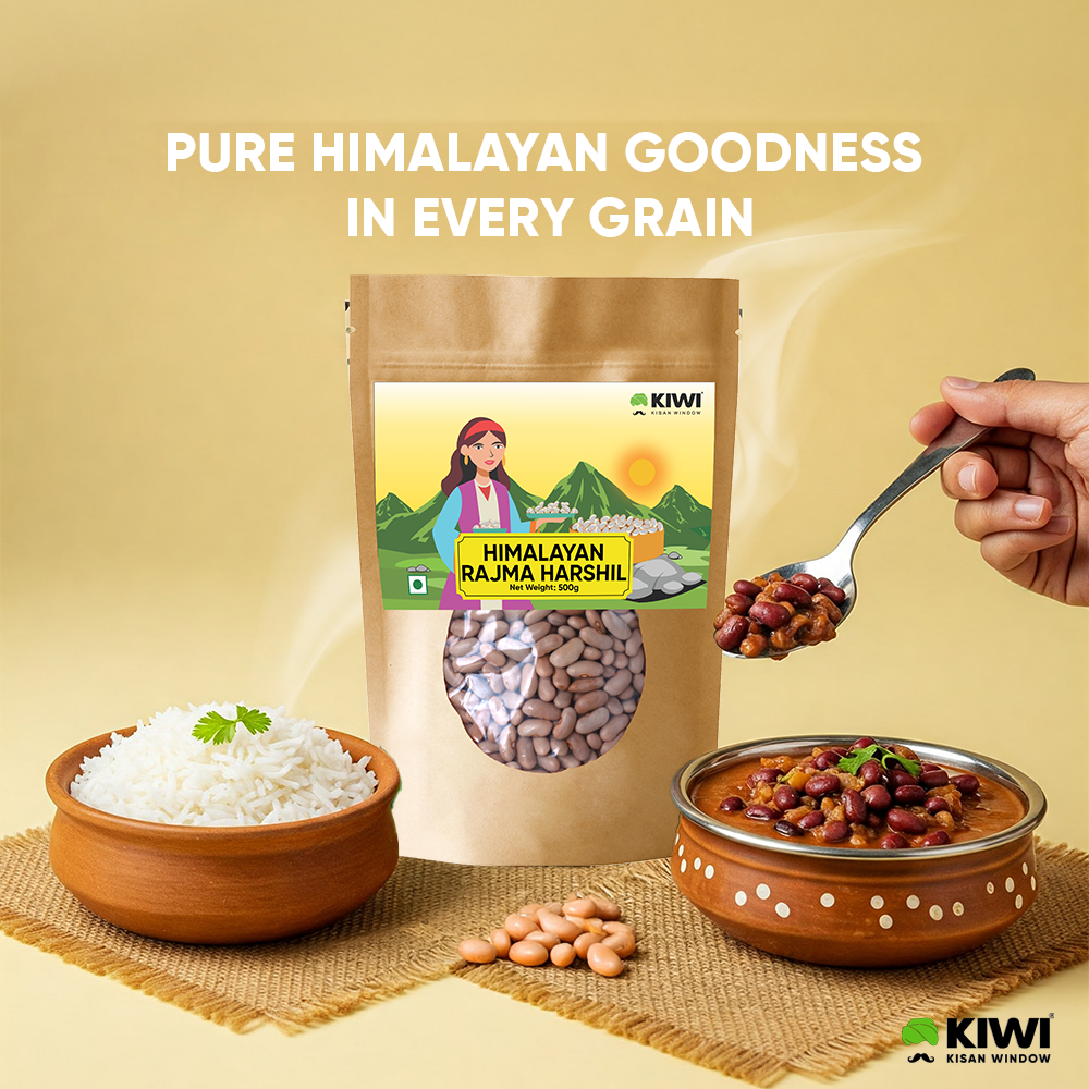 Rajma  Bundle ( 1 Rajma Chakrata  + 1 Harshil Rajma +1 Rajma Black )