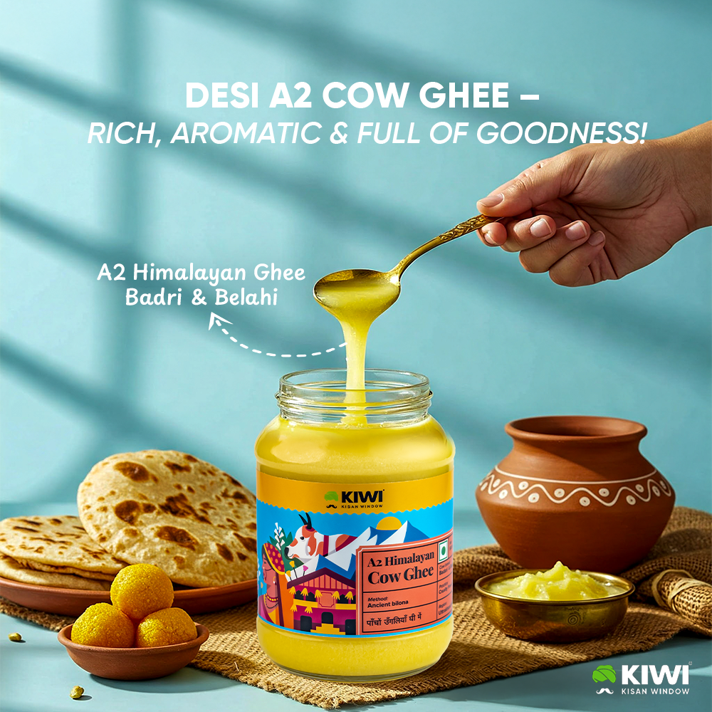 A2 Himalayan  (Badri) Cow Ghee