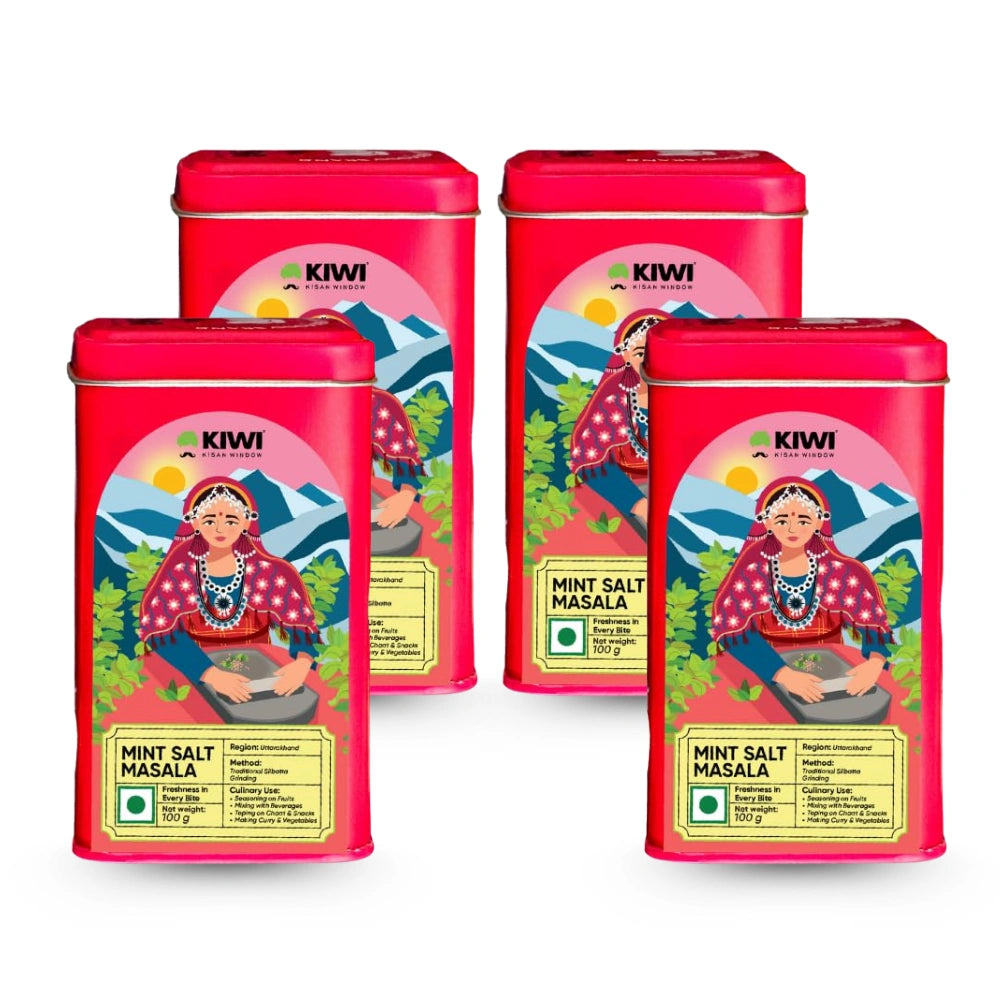 Mint Masala Seasoning