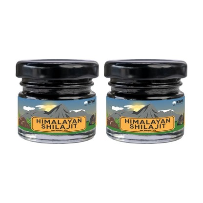 Himalayan Shilajit resin in a small glass jar with a wooden applicator.