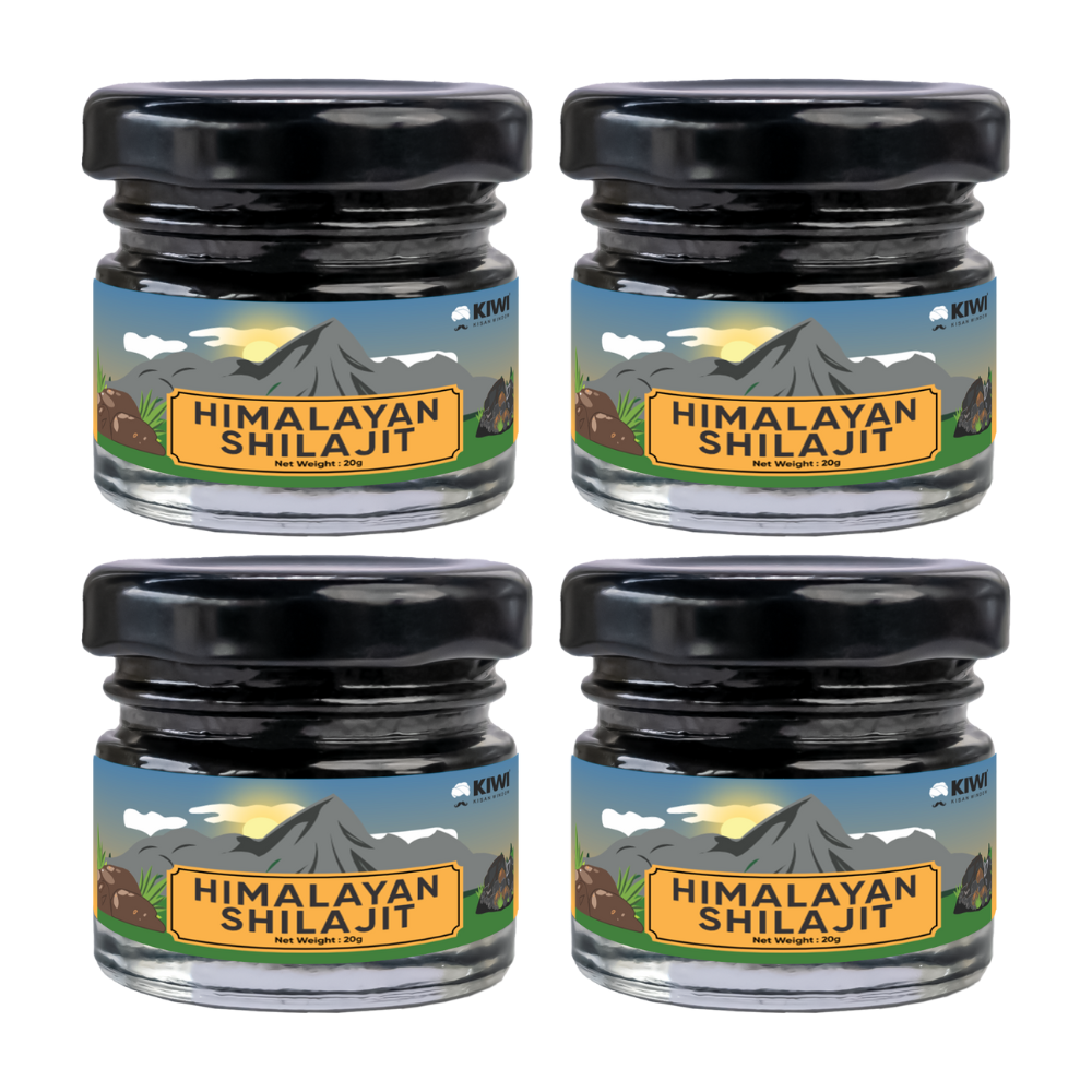 Himalayan Shilajit: Pure, Potent, & Natural Energy – KIWI Kisan Window