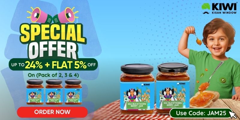 //kiwikisanwindow.com/cdn/shop/files/Whatsapp_Broadcast_960_x_720_px_800_x_400_px__jpg.jpg?v=1773297922